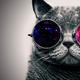 file.php?avatar=56482 1587150389