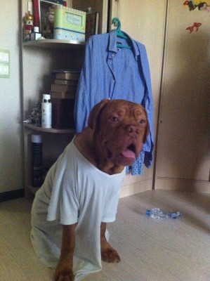 image.jpg