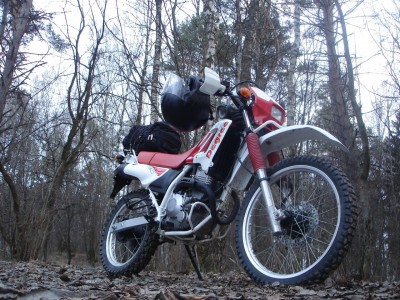 3M7WD2QiH9Q.jpg