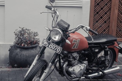 xDSC_0163.jpg.pagespeed.ic.Yfl0VOk-GW.jpg