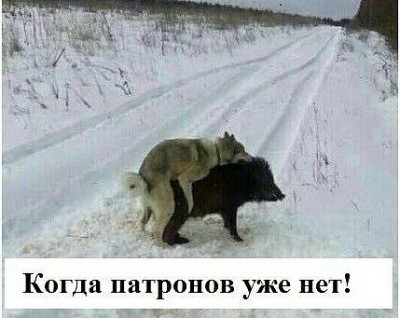 IMG-20171102-WA0002.jpg