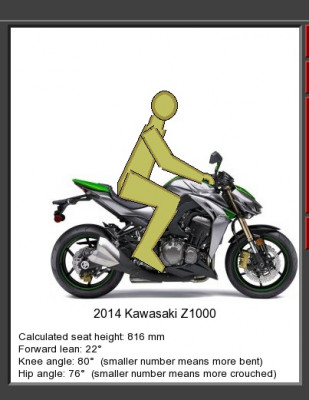 z1000.jpg