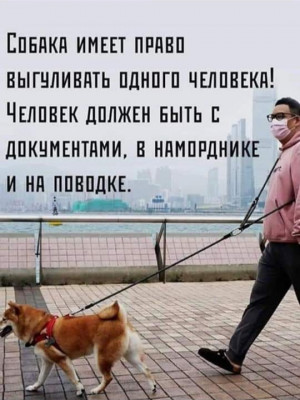 CPLHzyuas7k.jpg