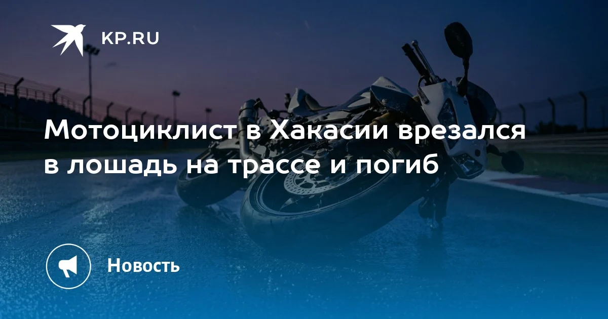 38-летний водитель мотоцикла погиб в результате наезда на лошадь, вышедшую на проезжую часть